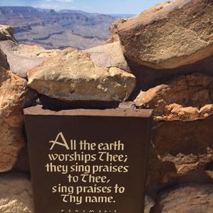 Meet your Posher, Darlene